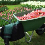 Réparation de chariot de jardin : comment choisir les bonnes roues ?