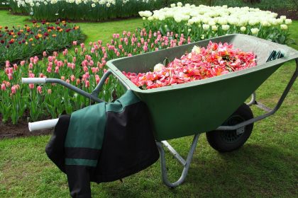 Réparation de chariot de jardin : comment choisir les bonnes roues ?