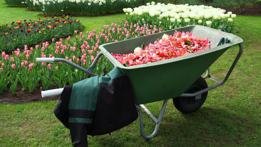 Réparation de chariot de jardin : comment choisir les bonnes roues ?