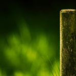 Réussir l'installation de poteaux dans votre jardin : nos conseils et astuces